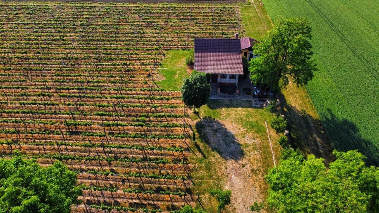Gasthaus Izletiste Opatovac Exterior foto